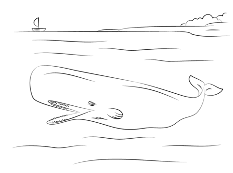 Cute Sperm Whale Coloring Page